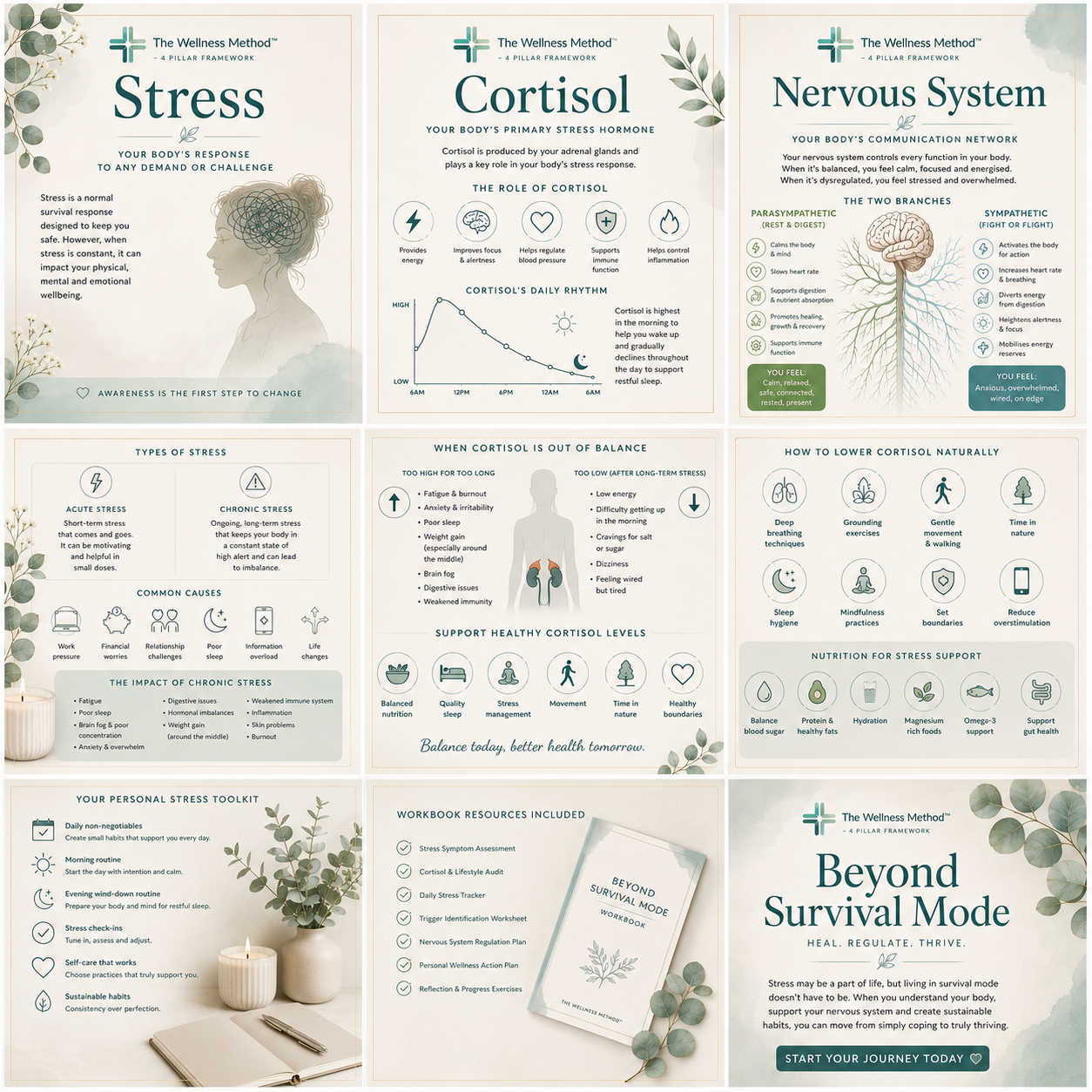 EBOOK - Guide to Stress, Cortisol & Nervous System Health - Beyond Survival Mode - 95 pages - EBOOK