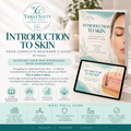 Introduction to Skin – Your Complete Beginner’s Guide - (49 pages) EBook/PRESENTATION