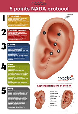 NADA GB Auricular Acupuncture — £35 - Optional to go home with ear seed