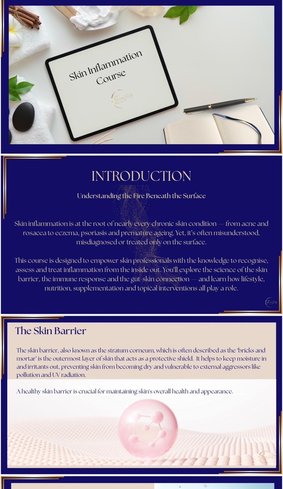 Skin Inflammation ebook -  Decoding the Root Causes of Your Skin (35 pages)