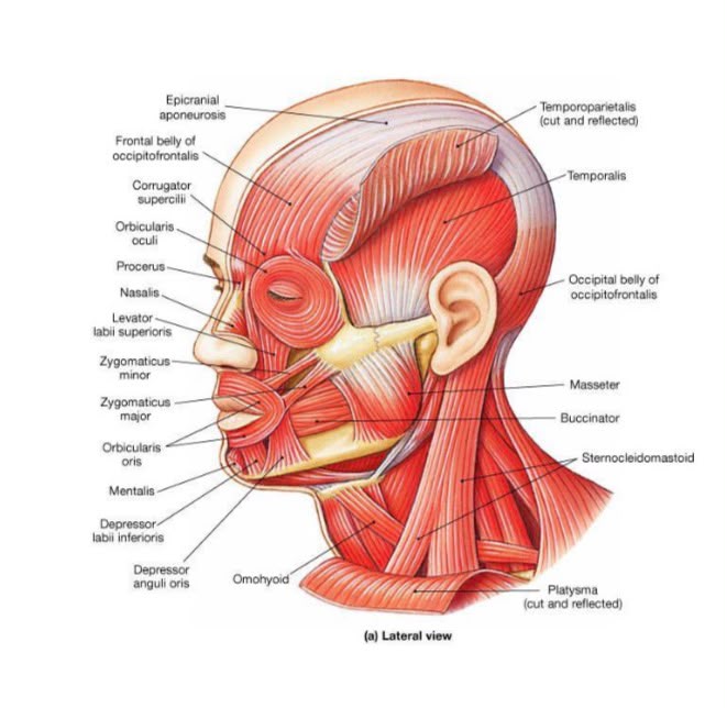 RF Microneedling Face To Face Course