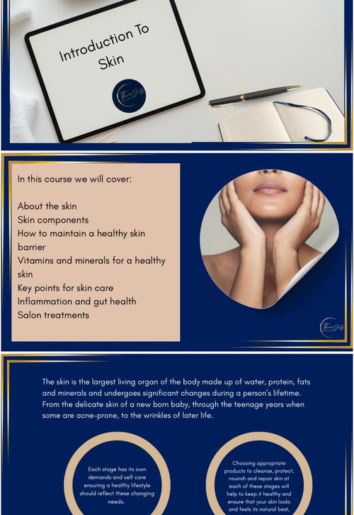 1 Unbranded Skin ebook or Course - Customise. Rebrand. Resell. Grow your business.