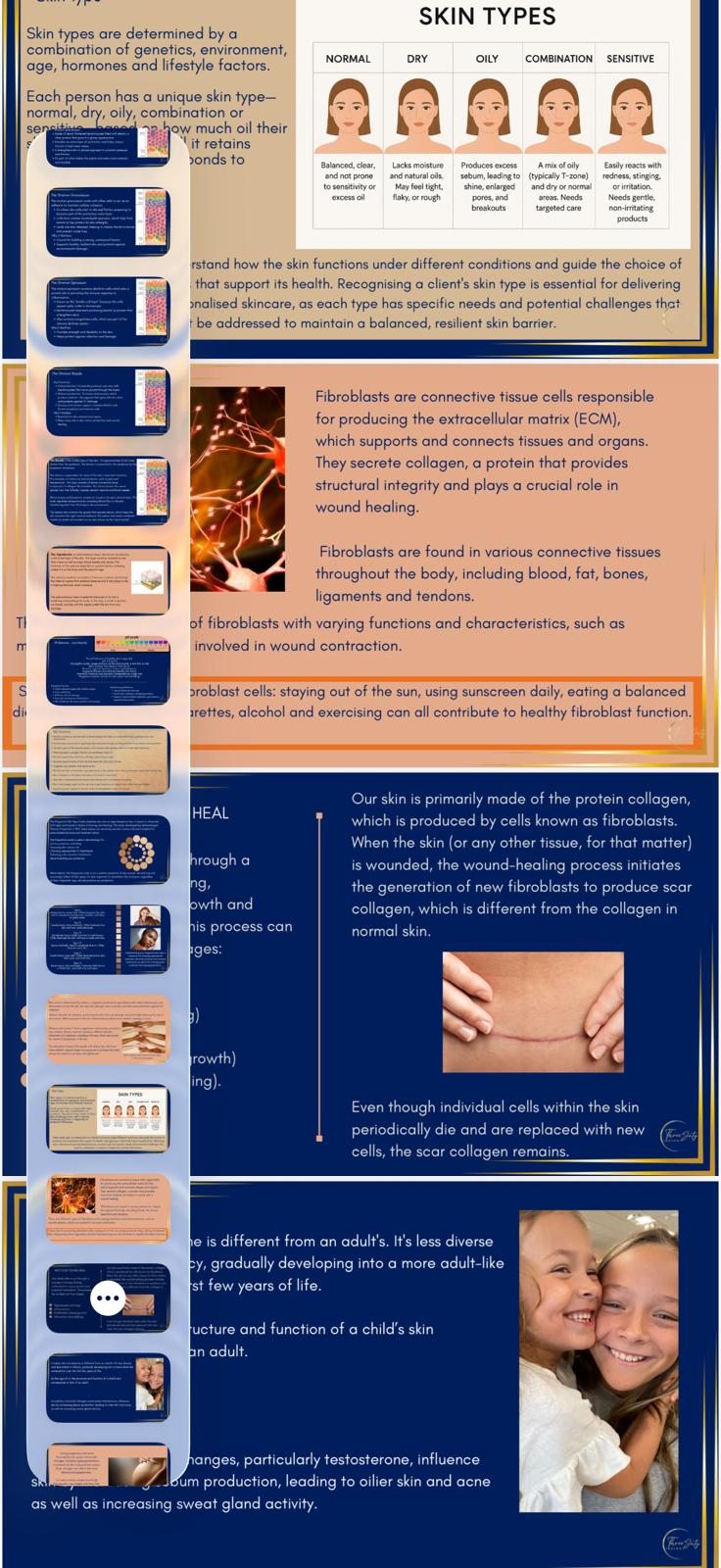 1 Unbranded Skin ebook or Course - Customise. Rebrand. Resell. Grow your business.