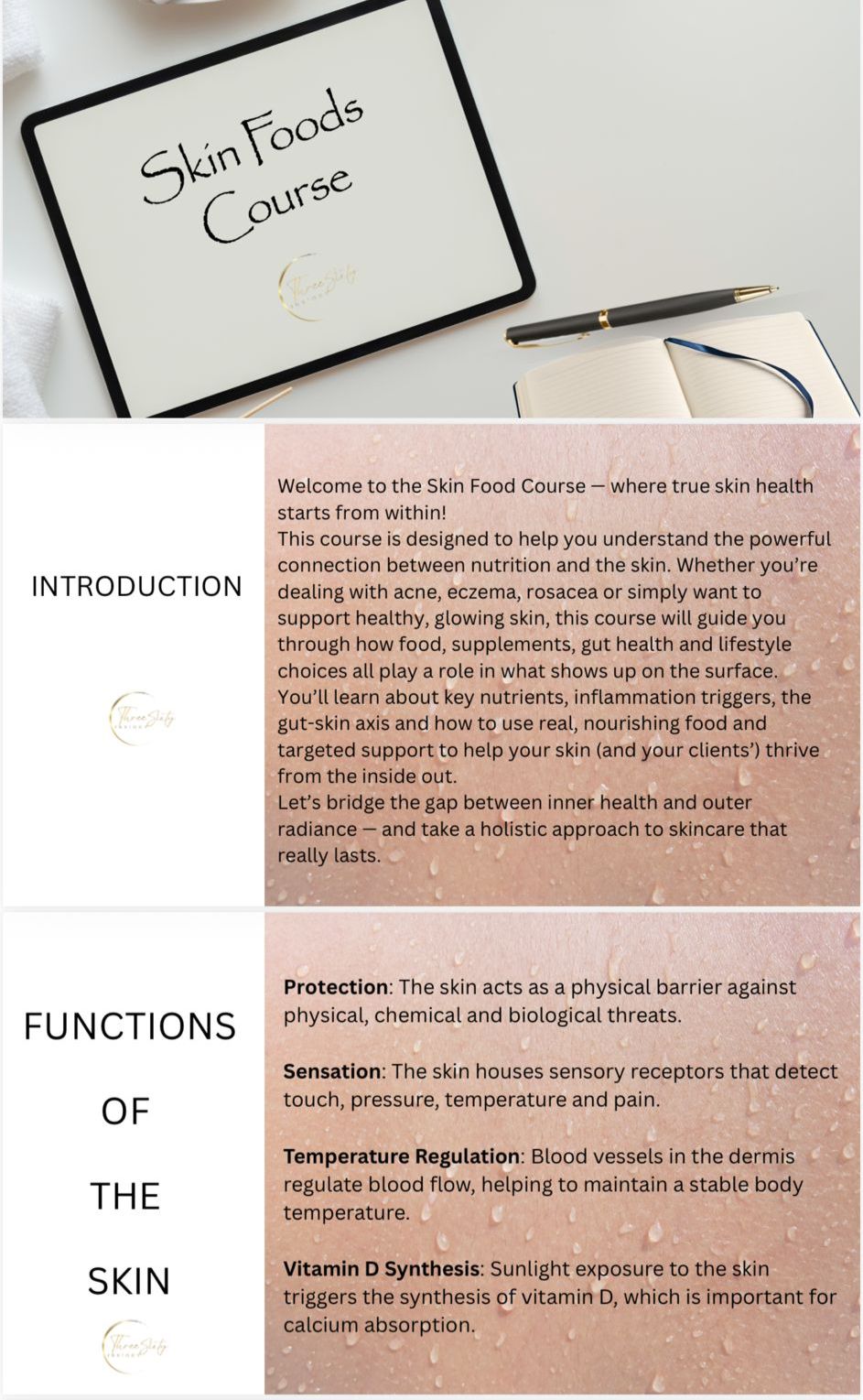 Skin Foods ebook - Feed Your Skin What It Truly Needs (47 pages)
