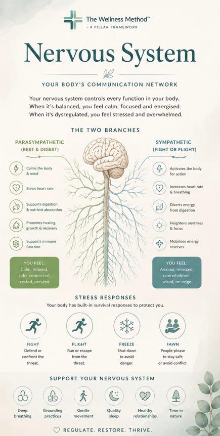 EBOOK - Guide to Stress, Cortisol & Nervous System Health - Beyond Survival Mode - 95 pages - EBOOK