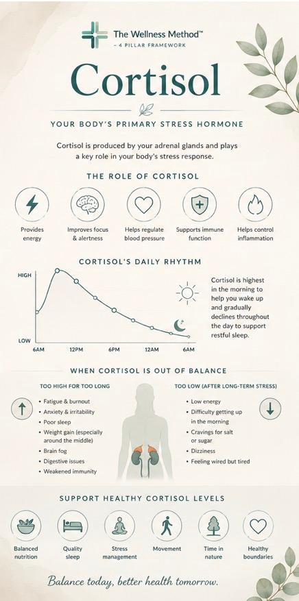 EBOOK - Guide to Stress, Cortisol & Nervous System Health - Beyond Survival Mode - 95 pages - EBOOK