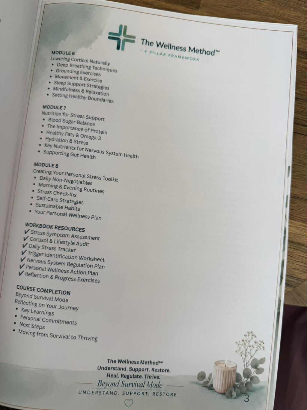 EBOOK - Guide to Stress, Cortisol & Nervous System Health - Beyond Survival Mode - 95 pages - EBOOK
