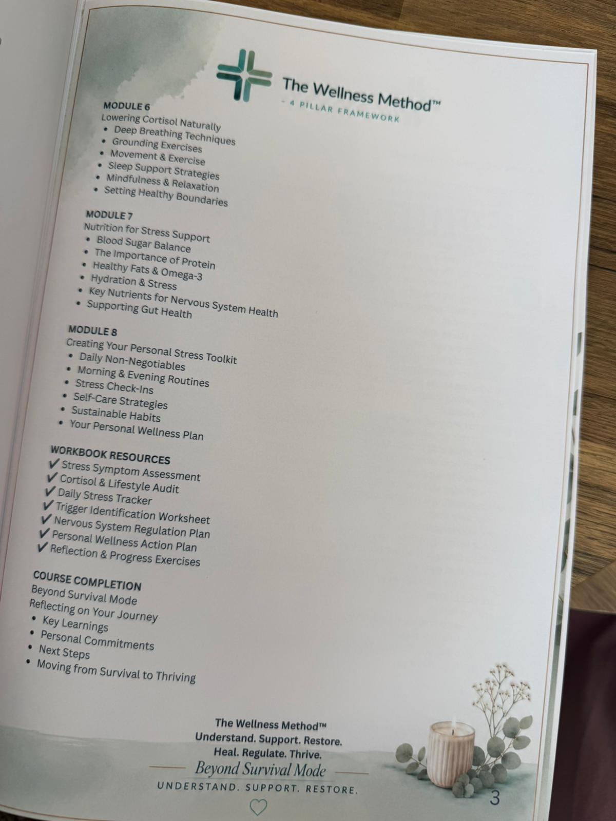 EBOOK - Guide to Stress, Cortisol & Nervous System Health - Beyond Survival Mode - 95 pages - EBOOK