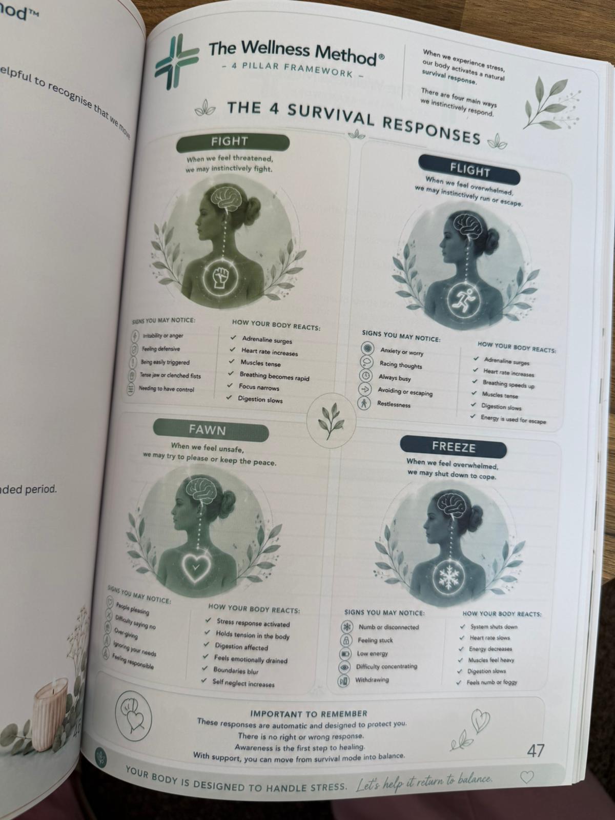 EBOOK - Guide to Stress, Cortisol & Nervous System Health - Beyond Survival Mode - 95 pages - EBOOK